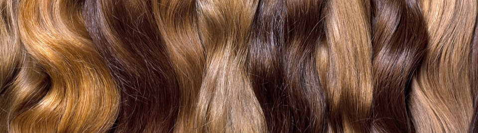 haren 960x267